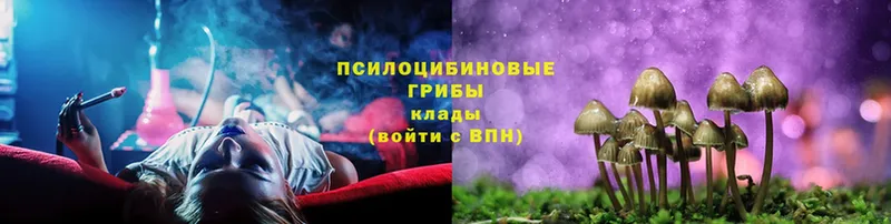 Псилоцибиновые грибы GOLDEN TEACHER  магазин    Анжеро-Судженск 